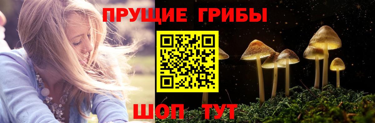 Псилоцибиновые грибы Psilocybe  Вход с VPN  Саянск 